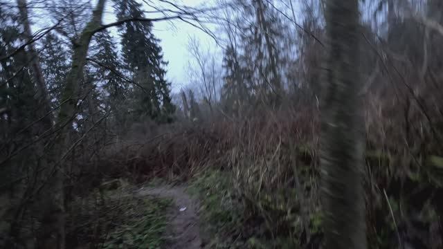 Поворот в темноту.Заехал вечером в лес провести разведку.Дорога привела в тупик .Идем на прорыв.