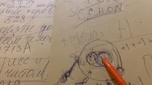 Новый взгляд на жизнь растений. Прорыв. Часть вторая.