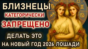 Близнецы. Как встречать Новый Год 2026 Лошади. Что нельзя делать. Самые строгие запреты Близнецам