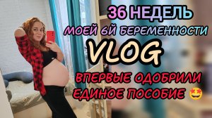 Жду 6 малыша 🤰🏼 много новостей 🤩🐣