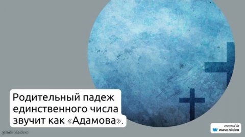 Фамилия Адамов: происхождение, история и значения, полное склонение и интересные факты