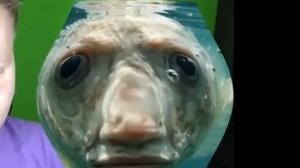 вы будите кушать угощения