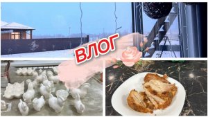 Для работы нужна тишина