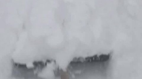 ЗАСТЕЛИЛА ❄️❄️❄️