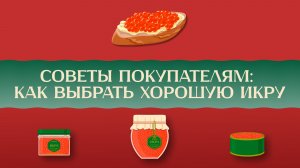 Советы покупателям: как выбрать хорошую икру