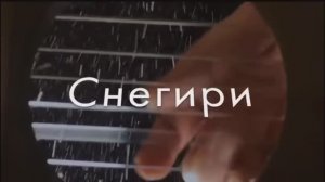 "СНЕГИРИ"  Шувалова Светлана