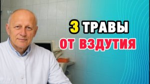 Здоровые Советы | Ваш желудок будет удивлён! Врач раскрыл самые сильные травы для пищеварения