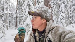 ВТОРОЙ ДЕНЬ ПОИСКА СОБАКИ. ИДУ ПО СЛЕДУ НА ЛЫЖАХ