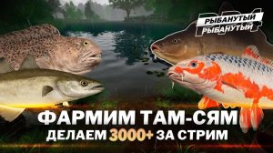 ФАРМ серебра. 3000+ за стрим ● Русская Рыбалка 4