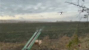 Утро доброе Друзья.