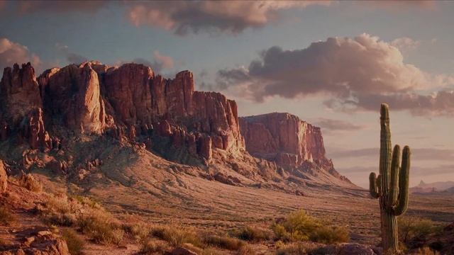 Заряд бодрости.