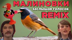 Верасы - Малиновка / Remix.