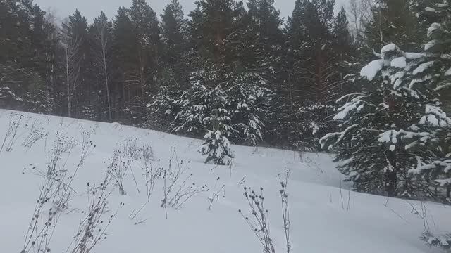 Все так и было . Вторая сопка .Гремячая грива.Красноярск