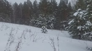 Все так и было . Вторая сопка .Гремячая грива.Красноярск