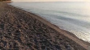 Если бы я мог вернуться назад, я бы...