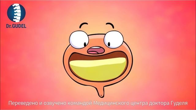 Как алкоголь влияет на мозг и печень: наглядно о работе организма