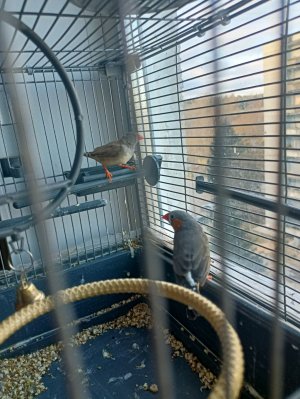 Разговор с зрителями