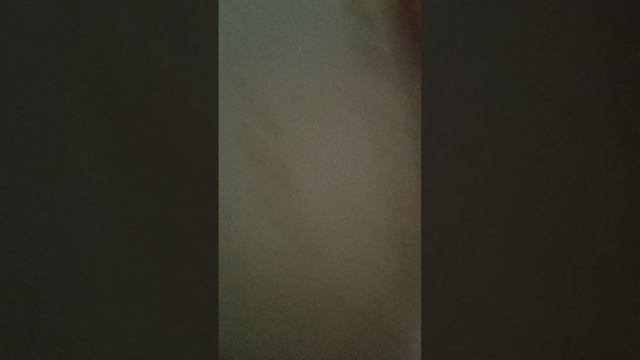 VID_20251213_130349.mp4