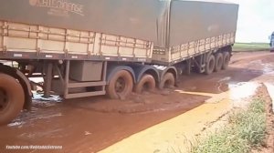 Бразильский дальнобой