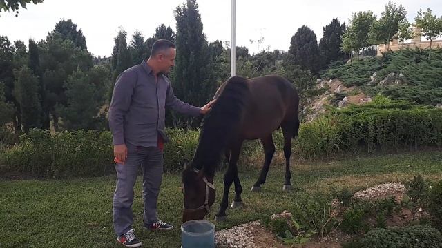 At su üçün yanıma gəlir )))).