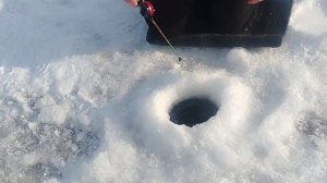 Первый лед рыбалка на окуня 2025