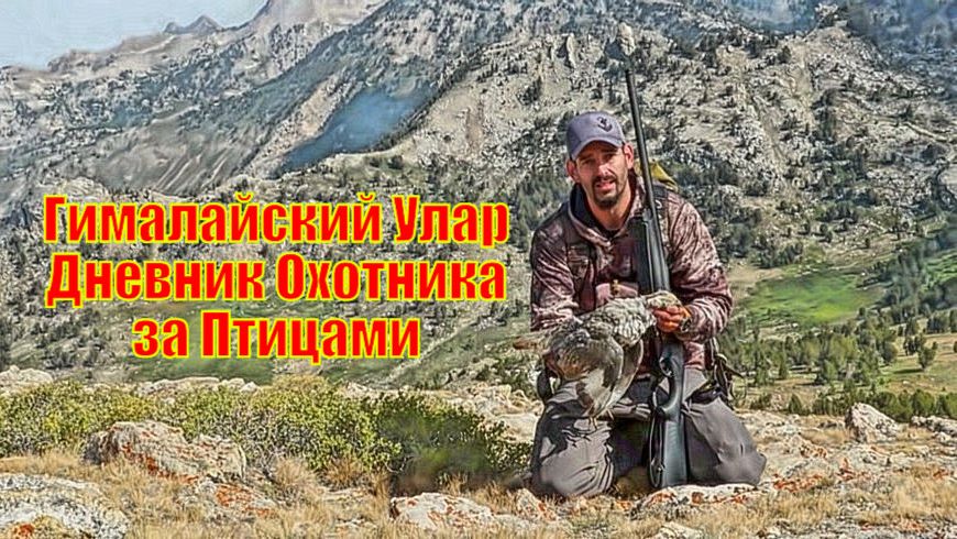 Гималайский Улар - Дневник Охотника за Птицами