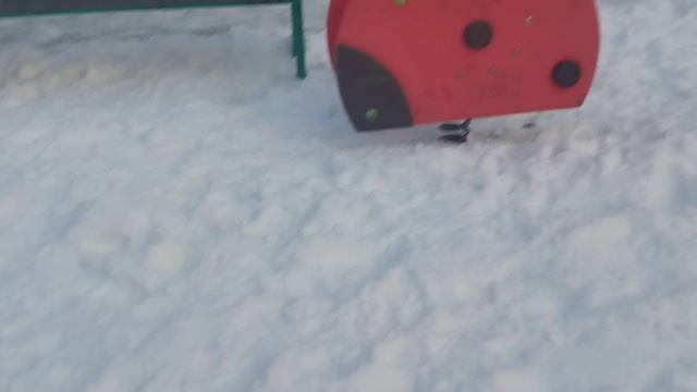 новый басик