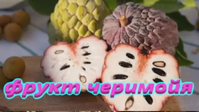Фрукт Черимойя