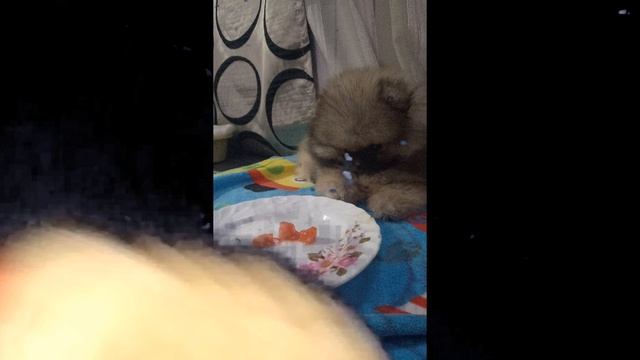 Подписывайтесь пишите комментарии