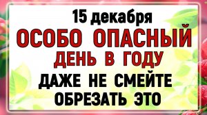 15 декабря - День Аввакума. Что нельзя делать сегодня по народным приметам? Запреты дня и суеверия