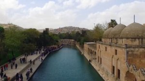 Vasilii CECEGOV & Atom- Может быть люблю тебя