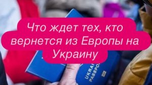 Как украинские беженцы смеются над своими же, кто вышел на работу. #новости #беженцыизукраины