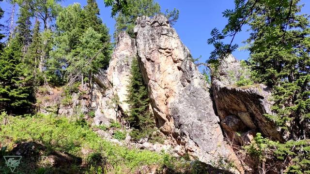 Майская прогулка (2020)