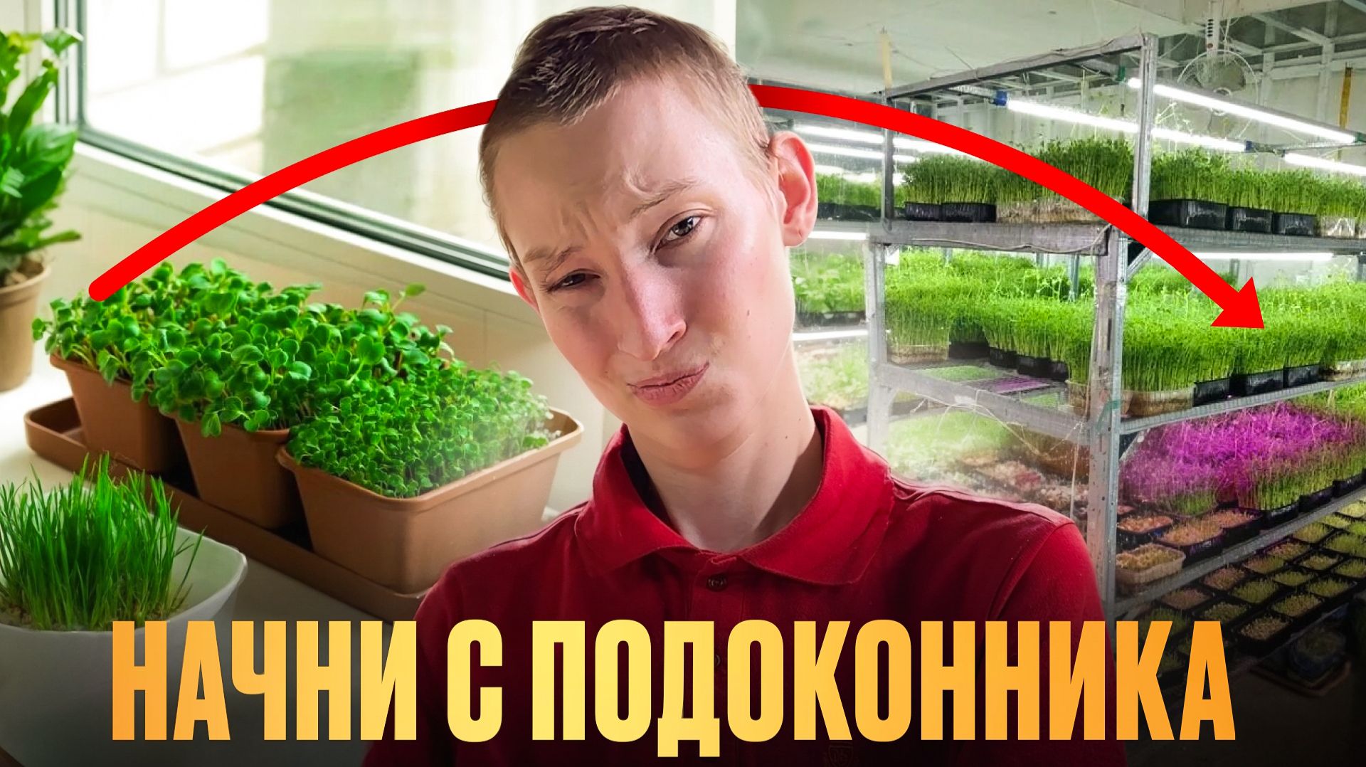 Я НАЧАЛ С ПОДОКОННИКА — ТЕПЕРЬ У МЕНЯ ФЕРМА МИКРОЗЕЛЕНИ смотреть онлайн