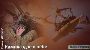 "Камикадзе в небе" - ФЕНИКС