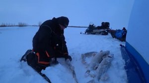 ОДИН НА ЛЬДУ.  ВОТ ЭТО ПОКЛЁВКИ!!! ВОТ ЭТО ТРОФЕИ!!!