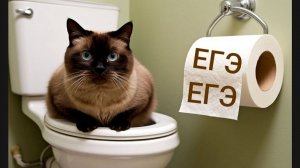 ЕГЭ СЛЕЖКА. Загадочный экзамен и его смешная охрана. Аудио шутка про бестолковые идеи.