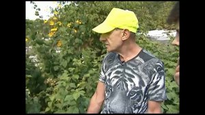 Уход за малиной. 3 минуты о загородной жизни с Сергеем Богатским