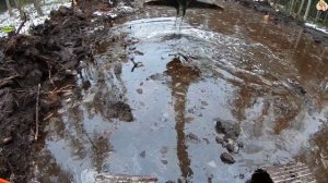 Строительство, дренажные работы на лесной дороге. продолжение