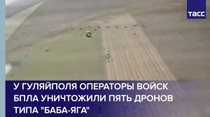У Гуляйполя операторы войск БПЛА уничтожили пять дронов типа "Баба-яга"