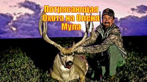 Потрясающая Охота на Оленя Мула заканчивается в Последний день, при последнем свете Дня