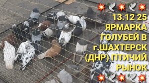 💥🕊💥 13.12.25 Ярмарка голубей в г.Шахтерск. Птичий рынок. Pigeons Fair. Bird Market.