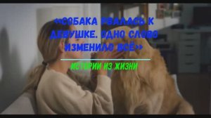 СОБАКА РВАЛАСЬ К ДЕВУШКЕ, ОДНО СЛОВО ИЗМЕНИЛО ВСЁ