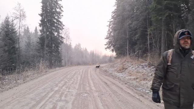 Удивительное зимнее знакомство!
