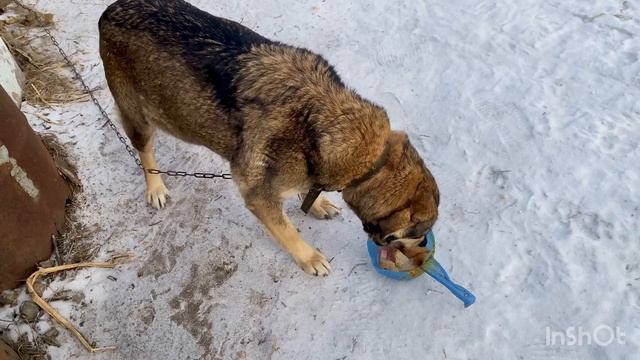 61 летняя пенсионерка и воскресный блог