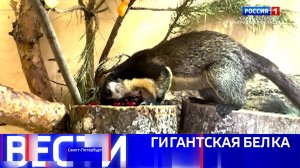 Вести Санкт-Петербург. Выпуск 08.00 от 14.12.2025