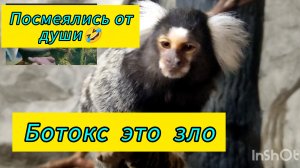 Океанариум Екатеринбург /Подводный мир прекрасен /