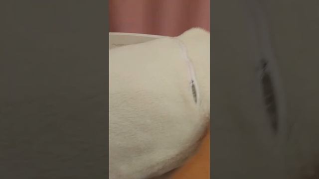 Вероника смотреть онлайн