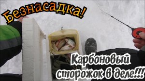 Как ловил карбоновый сторожок.Безнасадка.