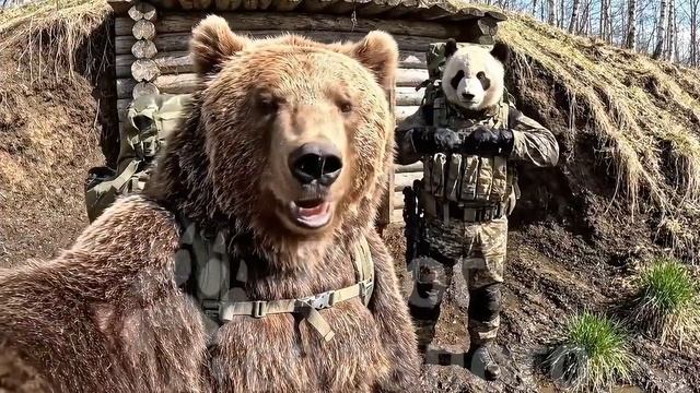 Влог Косолапого #13 «Новый Компаньон»